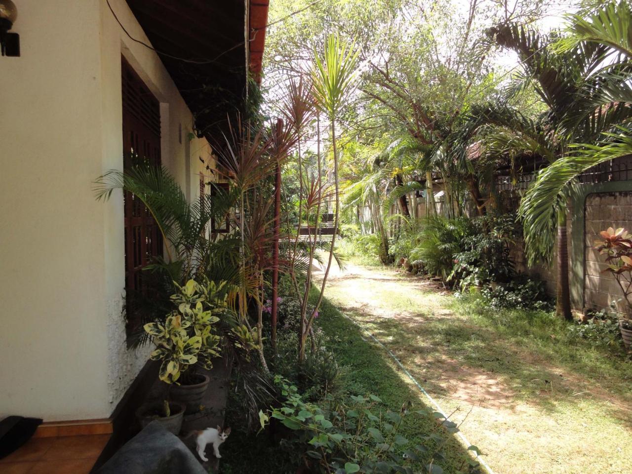 Lidwins Inn 15 Minutes To The Airport Negombo Ngoại thất bức ảnh